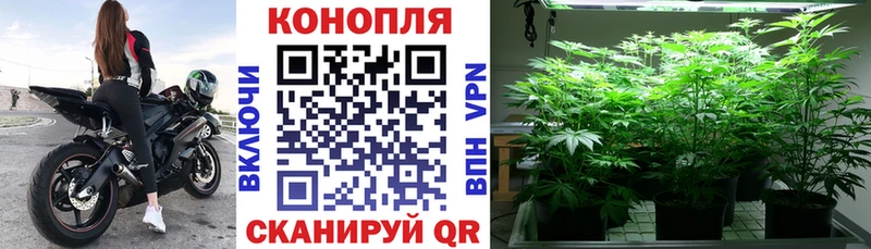 Где продают наркотики Вичуга Амфетамин СК Меф мяу мяу ГАШ Бошки Шишки Кокаин