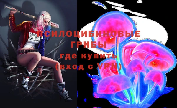 ECSTASY Баксан