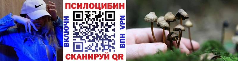 Псилоцибиновые грибы ЛСД  Вичуга 