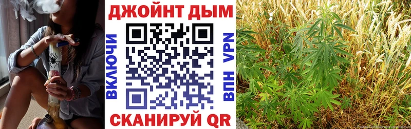 где купить наркоту  Вичуга  Бошки марихуана тримм 